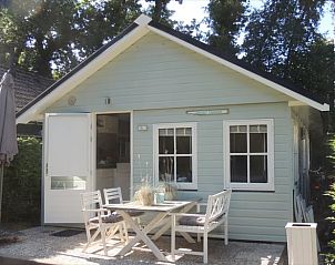 Geniet van de rust bij Huisje in Schoorl, een charmant vakantiehuis in Noord-Holland met een zonnig terras en omgeven door natuur.