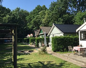 Geniet van de rust bij Huisje in Schoorl, een charmant vakantiehuis in Noord-Holland, omgeven door groen en een zonnig terras.