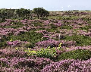 Verblijf 4842107 - Vakantiewoning Noord-Holland noord - Huisje in Schoorl