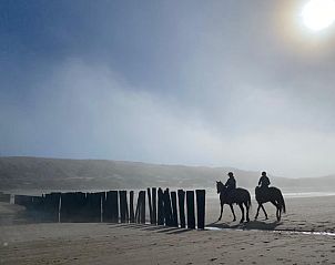 Verblijf 4842107 - Vakantiewoning Noord-Holland noord - Huisje in Schoorl
