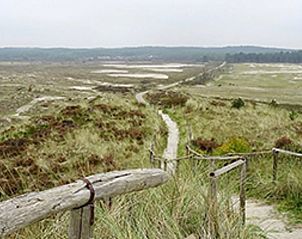 Verblijf 4842107 - Vakantiewoning Noord-Holland noord - Huisje in Schoorl