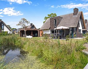 Guest house 4842117 - Bungalow Noord-Holland noord - Berger Duinen | 8-persoons woning | 8EL