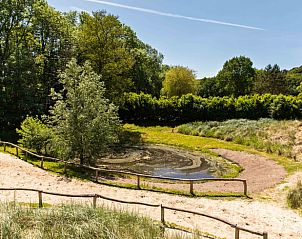 Guest house 4842125 - Holiday property Noord-Holland noord - Vakantiehuisje in Schoorl