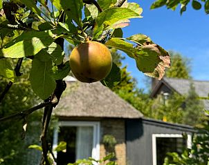Verblijf 4842130 • Vakantiewoning Noord-Holland noord • Vakantiehuisje in Schoorl 