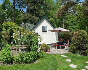Guest house 4842137 - Holiday property Noord-Holland noord - Kleine Nachtegaal