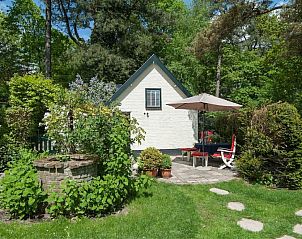 Guest house 4842137 - Holiday property Noord-Holland noord - Kleine Nachtegaal