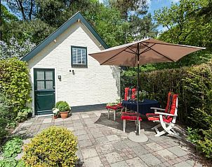 Guest house 4842137 - Holiday property Noord-Holland noord - Kleine Nachtegaal