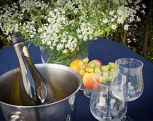 Guest house 4842137 - Holiday property Noord-Holland noord - Kleine Nachtegaal