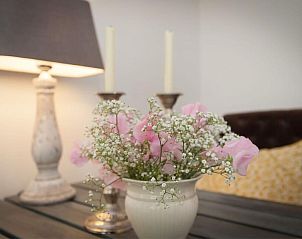 Guest house 4842137 - Holiday property Noord-Holland noord - Kleine Nachtegaal