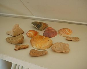 Guest house 4842137 - Holiday property Noord-Holland noord - Kleine Nachtegaal