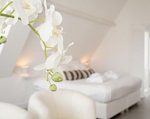 Verblijf 484214 - Vakantie appartement Hart van Brabant - Bossche Suites No2 - Verwersstraat