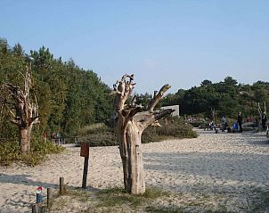 Unterkunft 4842163 - Ferienhaus Noord-Holland noord - 119926