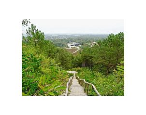 Guest house 4842172 - Holiday property Noord-Holland noord - 133319