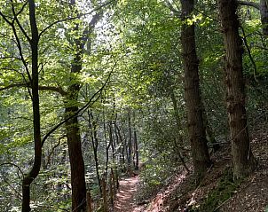 Guest house 484226 - Holiday property Noord-Holland noord - Vakantiehuisje in Schoorl