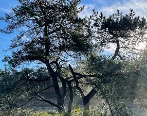 Guest house 484226 - Holiday property Noord-Holland noord - Vakantiehuisje in Schoorl