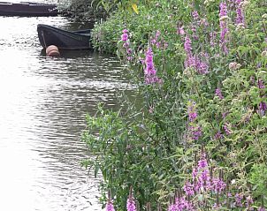 Verblijf 484227 - Vakantiewoning Hart van Brabant - b&b Achter de Sterren