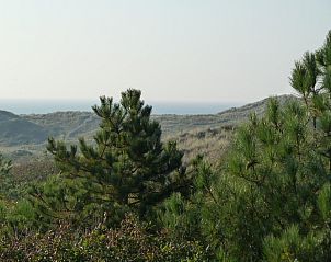 Unterkunft 484240 - Ferienhaus Noord-Holland noord - Vakantiehuis Lisakowski-Dorn