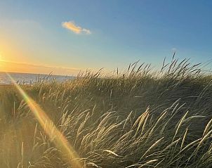 Schaduwrijk terras in de tuin van Huisje in Schoorl, Noord-Holland noord.