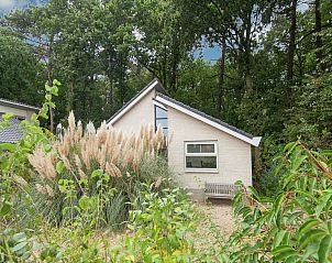 Unterkunft 484251 - Ferienhaus Noord-Holland noord - Boshof