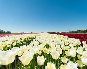 Unterkunft 484252 - Ferienhaus Noord-Holland noord - Bergens Buitenleven