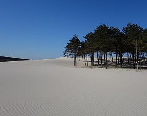 Verblijf 484256 - Vakantiewoning Noord-Holland noord - Huisje in Schoorl