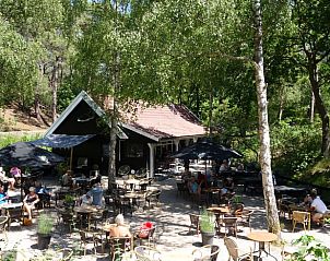 Verblijf 484256 - Vakantiewoning Noord-Holland noord - Huisje in Schoorl