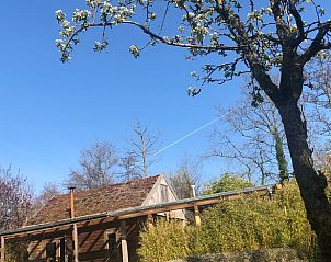 Guest house 484258 - Holiday property Noord-Holland noord - Vakantiehuisje in Schoorl