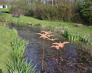 Guest house 484258 - Holiday property Noord-Holland noord - Vakantiehuisje in Schoorl