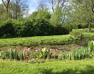 Guest house 484258 - Holiday property Noord-Holland noord - Vakantiehuisje in Schoorl