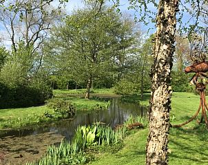 Guest house 484258 - Holiday property Noord-Holland noord - Vakantiehuisje in Schoorl