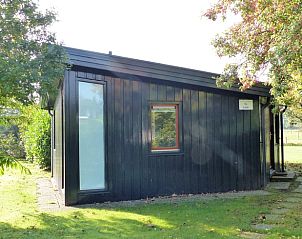 Guest house 484283 - Holiday property Noord-Holland noord - Vakantiehuis in Schoorl