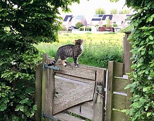 Verblijf 484285 - Vakantiewoning Noord-Holland noord - Vakantiehuis in Schoorl