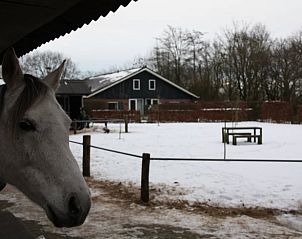 Verblijf 484292 - Vakantiewoning Noord-Holland noord - Vakantiehuis in Schoorl