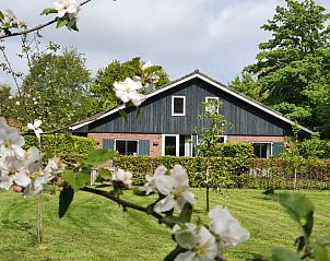 Verblijf 484292 - Vakantiewoning Noord-Holland noord - Vakantiehuis in Schoorl