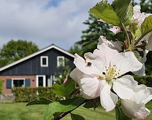 Verblijf 484292 - Vakantiewoning Noord-Holland noord - Vakantiehuis in Schoorl