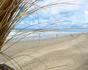 Guest house 484309 - Apartment Noordzeekust - Wielewaal