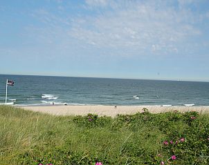 Guest house 484309 - Apartment Noordzeekust - Wielewaal