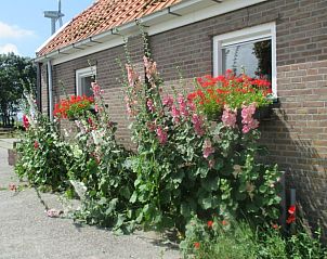 Guest house 485401 - Holiday property Noord-Holland noord - Vakantiehuisje in Haringhuizen