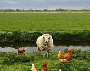 Guest house 485401 - Holiday property Noord-Holland noord - Vakantiehuisje in Haringhuizen