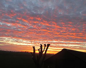 Guest house 485401 - Holiday property Noord-Holland noord - Vakantiehuisje in Haringhuizen