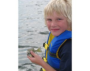 Verblijf 490363 - Chalet Noord-Holland midden - Chalet in Berkhout