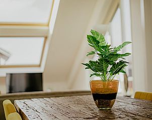 Verblijf 490639 - Vakantiewoning Noord-Holland midden - Penthouse