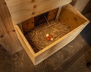 Guest house 490703 - Holiday property Noord-Holland midden - Huisje in Ursem