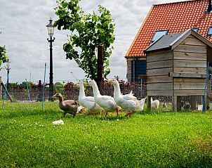 Guest house 490703 - Holiday property Noord-Holland midden - Huisje in Ursem