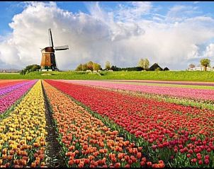 Verblijf 491020 - Vakantiewoning Noord-Holland midden - 110132