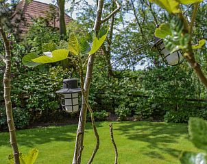 Unterkunft 491910 - Ferienhaus Noord-Holland midden - De IJsvogel