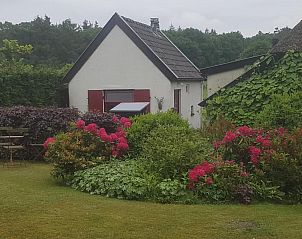 Tuin van B&B Het Bakhuis in Loenen, Veluwe met kleurrijke bloemen.