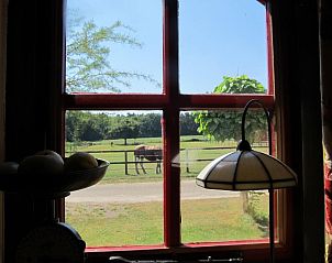 Uitzicht vanuit raam van B&B Het Bakhuis in Loenen, Veluwe op weiland met paard.