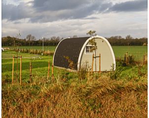 Rustieke uitstraling van Huisje in Zuid-Scharwoude, een vakantiehuis in Noord-Holland, gelegen in een weelderige omgeving.
