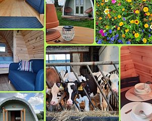 Collage van Huisje in Zuid-Scharwoude, een vakantiehuis in Noord-Holland, met interieur, exterieur en boerderijdieren.